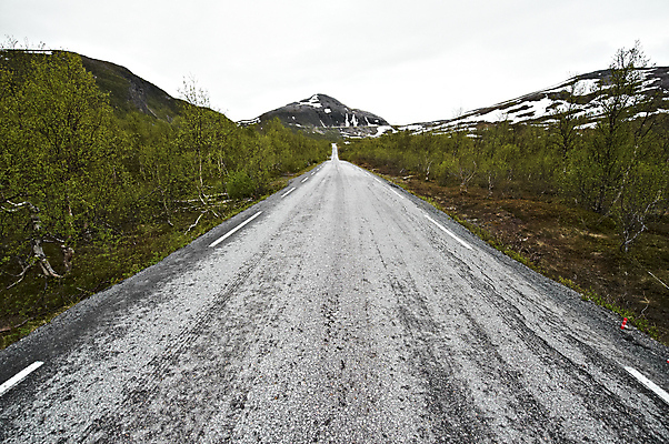 포토 JPG 해외이미지 나무 구름 공원 도로 여행 하늘 휴가 산 스웨덴 노르웨이 핀란드 풍경 사람없음 야외 침묵 추위 고속도로 큼 북극 장면 내추럴 스칸디나비아 해외202004 해외포토 자연요소 식물 공공시설 유럽 길 교통시설 북유럽 소리 크기 극지방 파일형식 이미지허브