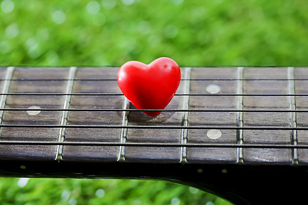 포토 JPG 해외이미지 꽃 줄 음악 여행 컨셉 밭 노래 자연 놀이 휴가 아이디어 프레임 사랑 잔디 사람없음 야외 가로 초록색 여름 빛 햇빛 반사 우주 축제 소리 콘서트 기구 기타 하트 시골 숲 가득함 오브젝트 장면 거짓말 뮤지컬 인기 철강 히피 스타일 전경 해외202004 해외포토 모양 식물 계절 감정 컬러 농업 현악기 문화예술 풍경 태양 공연 생태계 파일형식 탑뷰 이미지허브