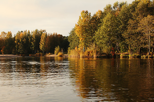 포토 JPG 해외이미지 나무 계절 공원 호수 물결 잎 오렌지 자연 하늘 풍경 사람없음 야외 빨간색 초록색 물 파란색 강 태양 반사 노란색 침묵 활발 가을 시골 연못 황금 가장자리 숲 장면 해외202004 해외포토 자연요소 식물 공공시설 컬러 컨셉 과일 소리 둘레 생태계 파일형식 이미지허브