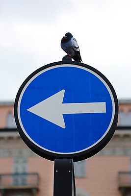 포토 JPG 해외이미지 아이콘 1 영어 유럽 도로 여행 교통시설 조류 하늘 영국 화살 거리 경고 설명 안전 사람없음 파란색 금속 이탈리아 운전 정보 프랑스 흰색 가리킴 도시 잠 방향 왼쪽 심볼 사인 비둘기 도로표지판 심플 법 봉 바둑 명령 방법 충고 유일 해외202004 해외포토 동물 문자 나라 길 컬러 교통 모션 재질 놀이 손짓 표지판 시설 파일형식 이미지허브