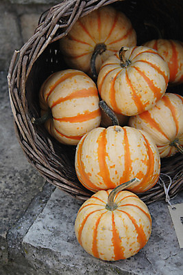 포토 JPG 해외이미지 산업 음료 음식 백그라운드 포장 공장 벽지 새로움 맥주 사람없음 빛 상자 반사 금속 공백 추위 캔 은색 상품 은박지 통조림 소다 줄서기 해외202004 해외포토 컬러 컨셉 공업 모션 재질 주류 파일형식 이미지허브