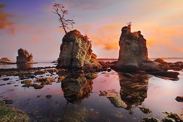 포토 JPG 해외이미지 나무 구름 바다 섬 여행 조류 하늘 풍경 사람없음 물 반사 여행객 일몰 만 돼지 뿌리기 태평양 암초 서쪽 주입구 가리발디 해외202004 해외포토 자연요소 식물 동물 포유류 모션 사람 노을 방향 위인 정치가 파일형식 이미지허브