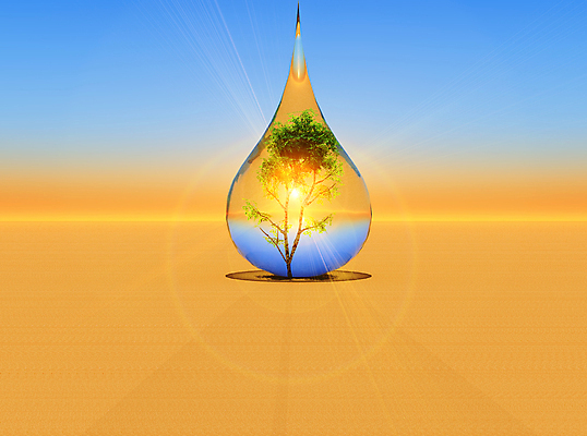 포토 JPG 해외이미지 자연 사람없음 햇빛 일출 환경 일몰 떨어짐 이슬 지구온난화 해외202004 해외포토 컨셉 태양 노을 생태계 기후변화 파일형식 이미지허브