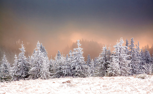 포토 JPG 해외이미지 나무 계절 행복 여행 백그라운드 크리스마스 겨울 자연 하늘 날씨 휴가 새로움 산 기념 요정 국립공원 풍경 사람없음 야외 파란색 빛 태양 얼음 축제 추위 흰색 축하 소나무 눈송이 숲 12월 연도 서리 전나무 루마니아 1월 폭설 눈내림 해외202004 해외포토 자연요소 식물 공원 기념일 감정 유럽 컬러 컨셉 눈_날씨 날짜 자연재해 생태계 파일형식 이미지허브