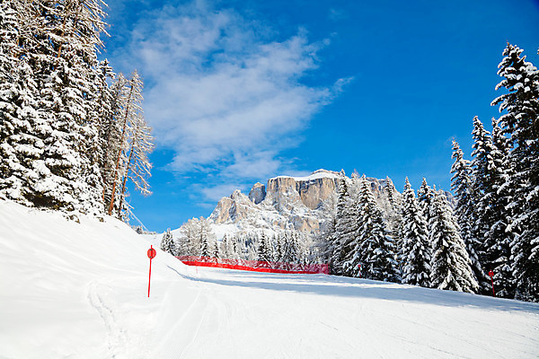 포토 JPG 해외이미지 나무 계절 유럽 겨울 자국 자연 하늘 날씨 스키 산 풍경 경사 사람없음 야외 빨간색 파란색 햇빛 태양 맑음 이탈리아 추위 스노우보드 숲 휴양지 알프스 상록수 침엽수 전나무 선로 절정 해외202004 해외포토 자연요소 식물 나라 컬러 겨울스포츠 장소 보드_스포츠 생태계 파일형식 이미지허브