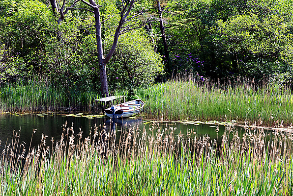 포토 JPG 해외이미지 호수 여행 자연 휴가 조개 휴식 어류 사람없음 여름 수확 연못 보트 옛날 해외202004 해외포토 계절 컨셉 농업 배_교통 어패류 수중동물 생태계 파일형식 이미지허브