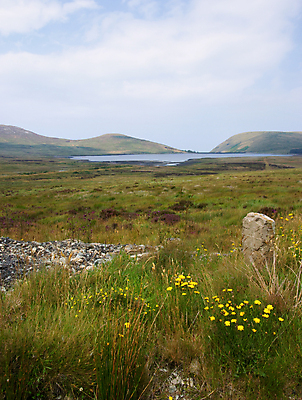 포토 JPG 해외이미지 꽃 산 갈대 풍경 사람없음 시골 저수지 황무지 습지 댐 서식지 변소 해외202004 해외포토 식물 공공시설 파일형식 이미지허브