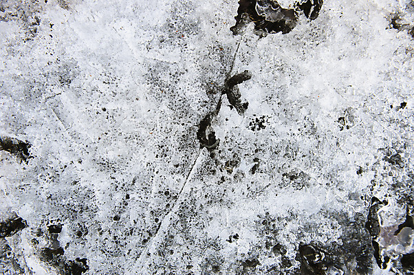 포토 JPG 해외이미지 디자인 계절 호수 백그라운드 겨울 패턴 자연 추상 사람없음 장식 물 파란색 빛 강 글로벌 냉동 얼음 봄 활발 추위 흰색 신선 투명 시원함 크리스탈 질감 서리 내추럴 블러 효과 해외202004 해외포토 자연요소 컬러 컨셉 무늬 광석 생태계 파일형식 이미지허브