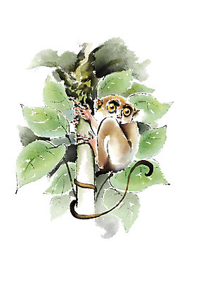 PSD 동물 한마리 일러스트 캘리그라피 붓터치 나뭇잎 사람없음 나뭇가지 잡기 번짐 안경원숭이 국내일러스트 나무 1 잎 모션 원숭이 파일형식 효과