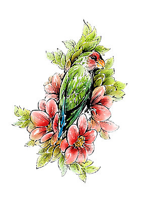 PSD 동물 한마리 꽃잎 꽃 일러스트 캘리그라피 조류 붓터치 사람없음 앵무새 번짐 국내일러스트 식물 1 파일형식 효과