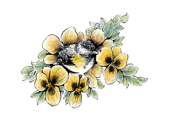 PSD 동물 한마리 꽃잎 꽃 일러스트 캘리그라피 붓터치 앉기 사람없음 번짐 아기새 국내일러스트 식물 1 새끼 모션 조류 파일형식 효과