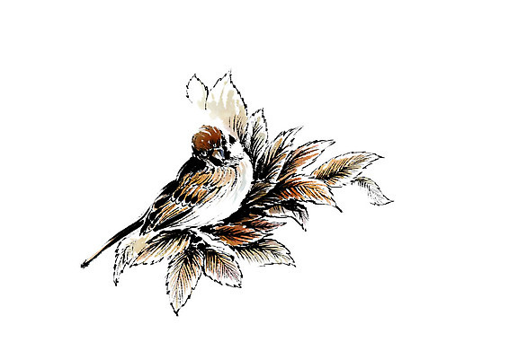 PSD 동물 한마리 일러스트 캘리그라피 조류 붓터치 나뭇잎 앉기 사람없음 번짐 참새 국내일러스트 1 잎 모션 파일형식 효과