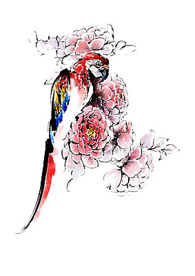 PSD 동물 한마리 꽃 일러스트 캘리그라피 조류 붓터치 앉기 사람없음 앵무새 번짐 국내일러스트 식물 1 모션 파일형식 효과