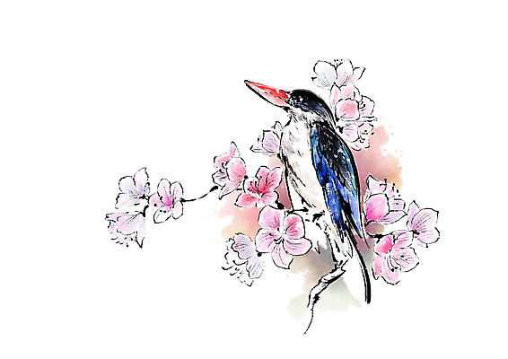 PSD 동물 한마리 일러스트 캘리그라피 조류 붓터치 사람없음 번짐 꽃가지 국내일러스트 1 꽃 나뭇가지 파일형식 효과