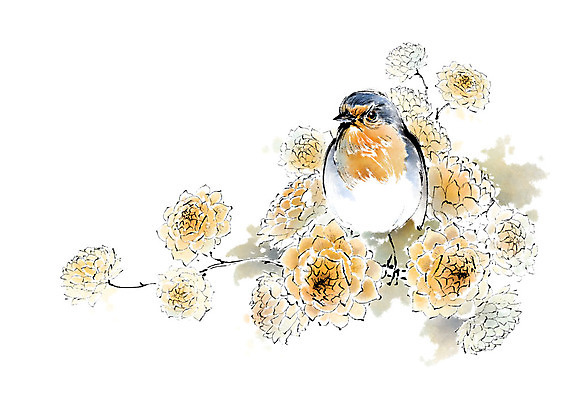 PSD 동물 한마리 꽃 일러스트 캘리그라피 조류 붓터치 사람없음 번짐 국내일러스트 식물 1 파일형식 효과