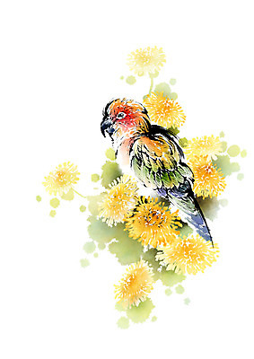 PSD 동물 한마리 일러스트 캘리그라피 조류 붓터치 국화 사람없음 앵무새 번짐 국내일러스트 1 꽃 파일형식 효과