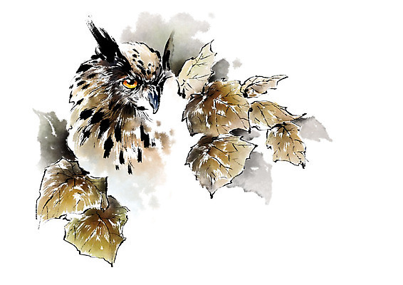 PSD 동물 일러스트 캘리그라피 조류 붓터치 나뭇잎 사람없음 숲속 번짐 부엉이 국내일러스트 잎 숲 파일형식 효과