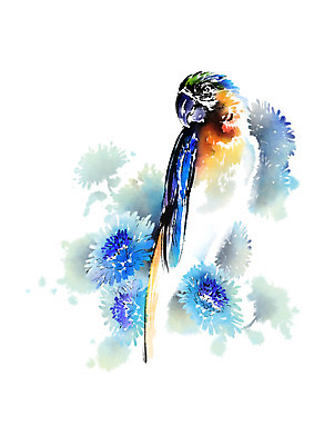 PSD 동물 한마리 꽃 일러스트 캘리그라피 조류 붓터치 앉기 사람없음 앵무새 번짐 국내일러스트 식물 1 모션 파일형식 효과