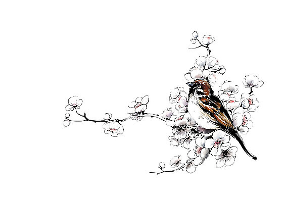 PSD 동물 한마리 일러스트 캘리그라피 조류 붓터치 앉기 사람없음 번짐 참새 꽃가지 국내일러스트 1 꽃 모션 나뭇가지 파일형식 효과