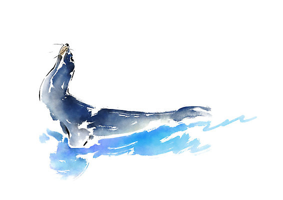 PSD 동물 한마리 일러스트 캘리그라피 붓터치 사람없음 물개 고개들기 번짐 국내일러스트 1 포유류 모션 바다동물 파일형식 효과