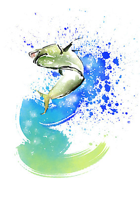 PSD 동물 한마리 일러스트 캘리그라피 붓터치 어류 사람없음 물보라 번짐 국내일러스트 1 물 수중동물 파일형식 효과
