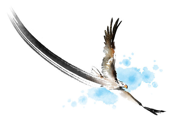 PSD 동물 한마리 날개 일러스트 캘리그라피 조류 붓터치 사람없음 비행 독수리 번짐 국내일러스트 1 파일형식 효과