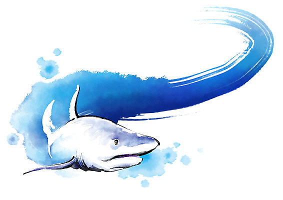 PSD 동물 한마리 일러스트 캘리그라피 붓터치 사람없음 수영 돌고래 번짐 국내일러스트 1 포유류 수중동물 수상스포츠 파일형식 효과