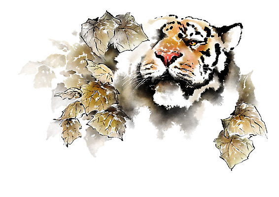 PSD 동물 한마리 응시 낙엽 일러스트 캘리그라피 붓터치 나뭇잎 사람없음 호랑이 숲속 번짐 국내일러스트 1 시선 잎 포유류 숲 파일형식 효과