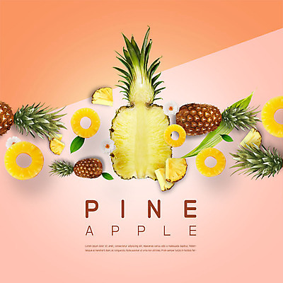 PSD 편집이미지 과일 단면 나뭇잎 사람없음 풀잎 파인애플 슬라이스 과일조각 이미지편집 조각 잎 풀_식물 열대과일 파일형식