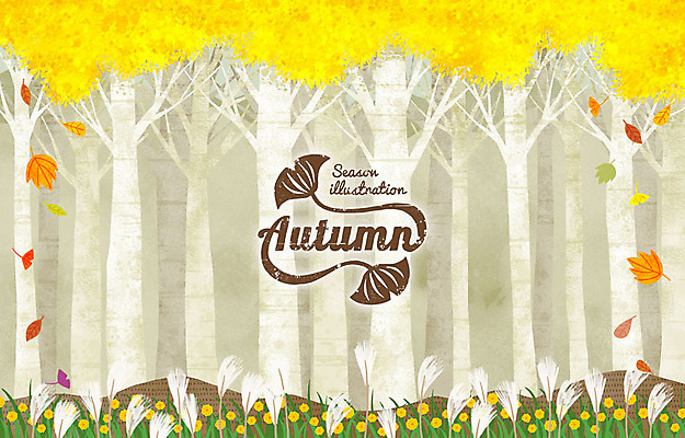 PSD 나무 계절 백그라운드 단풍 낙엽 일러스트 갈대 사람없음 라벨 가을 숲 은행잎 갈대밭 들국화 가을배경 국내일러스트 식물 꽃 잎 프레임 파일형식 가을_계절 갈대_식물