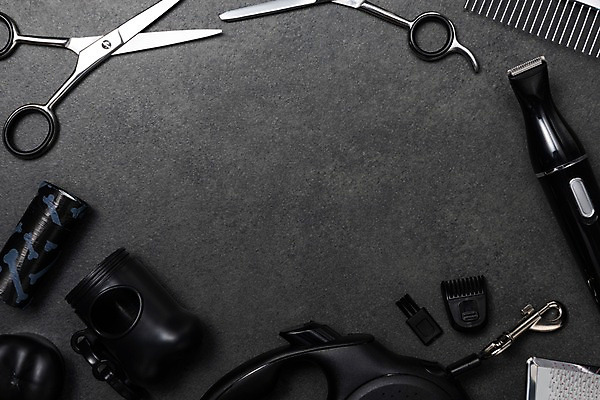 포토 JPG 스튜디오촬영 실내 근접촬영 사람없음 오브젝트 애견용품 목줄 미용가위 애견미용 애견빗 국내포토 뷰포인트 가위_도구 내부 뷰티 미용용품 파일형식 반려용품