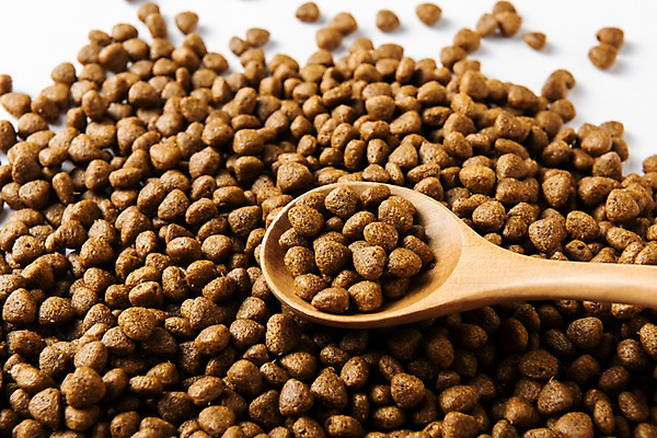 포토 JPG 스튜디오촬영 실내 근접촬영 사람없음 숟가락 오브젝트 담기 개사료 애완용사료 국내포토 뷰포인트 모션 수저 내부 먹이 파일형식