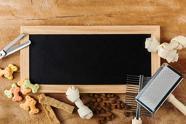 포토 JPG 스튜디오촬영 실내 근접촬영 사람없음 오브젝트 미니칠판 개껌 개사료 애견간식 애견빗 애완용사료 국내포토 반려용품 뷰포인트 내부 칠판 먹이 애견용품 파일형식