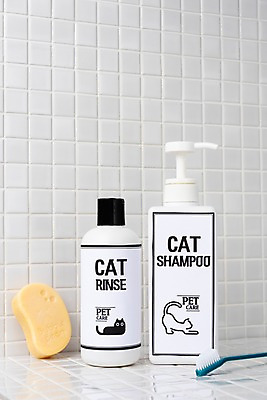 포토 JPG 스튜디오촬영 실내 근접촬영 사람없음 목욕탕 칫솔 오브젝트 비누 샴푸 린스 애견미용 디스펜서 국내포토 반려용품 뷰포인트 내부 위생용품 뷰티 파일형식