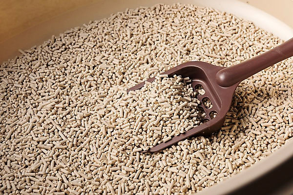 포토 JPG 모래 실내 근접촬영 사람없음 삽 오브젝트 국내포토 반려용품 뷰포인트 내부 파일형식