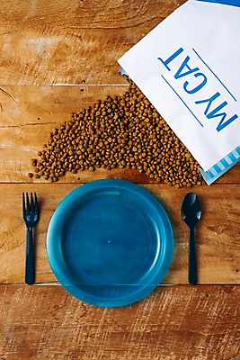 포토 JPG 스튜디오촬영 접시 포크 실내 근접촬영 사람없음 목재 숟가락 오브젝트 애완용사료 국내포토 나무 식기 뷰포인트 재료 수저 내부 파일형식