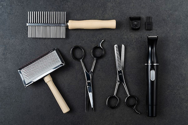 포토 JPG 스튜디오촬영 실내 근접촬영 사람없음 오브젝트 애견용품 미용가위 애견미용 애견빗 국내포토 반려용품 뷰포인트 가위_도구 내부 뷰티 미용용품 파일형식