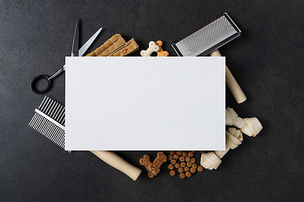 포토 JPG 스튜디오촬영 배너 사각프레임 광고판 알림판 실내 사람없음 쿠키 오브젝트 개껌 개사료 미용가위 애견간식 애견미용 애견빗 애완용사료 국내포토 반려용품 디저트 프레임 가위_도구 내부 뷰티 사각형 미용용품 먹이 애견용품 판 파일형식