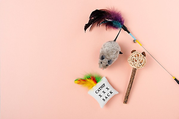 포토 JPG 스튜디오촬영 쿠션 실내 사람없음 장난감 낚싯대 깃털 오브젝트 쥐모양 국내포토 반려용품 모양 내부 낚시용품 파일형식