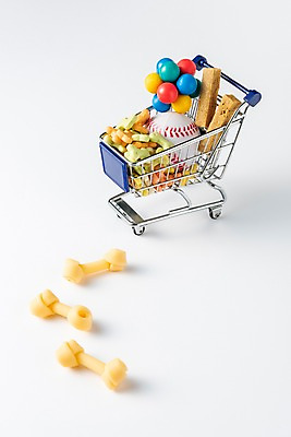 포토 JPG 스튜디오촬영 실내 근접촬영 사람없음 쿠키 쇼핑카 오브젝트 야구공 개껌 애견간식 국내포토 반려용품 뷰포인트 공 디저트 내부 쇼핑 카트 야구용품 파일형식