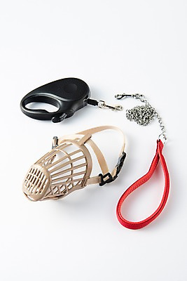 포토 JPG 스튜디오촬영 실내 손잡이 근접촬영 사람없음 오브젝트 애견용품 목줄 입마개 국내포토 뷰포인트 내부 파일형식 반려용품