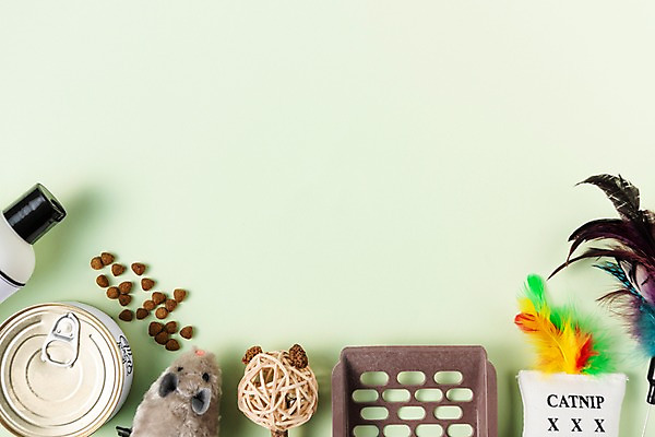 포토 JPG 스튜디오촬영 쿠션 실내 사람없음 장난감 깃털 오브젝트 통조림 개사료 쥐모양 애견샴푸 국내포토 반려용품 모양 내부 먹이 애견용품 파일형식