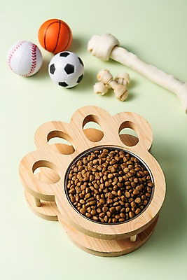 포토 JPG 스튜디오촬영 축구공 농구공 실내 근접촬영 사람없음 장난감 오브젝트 야구공 개껌 개밥그릇 애완용사료 국내포토 반려용품 그릇 뷰포인트 공 축구용품 농구 내부 야구용품 애견용품 파일형식