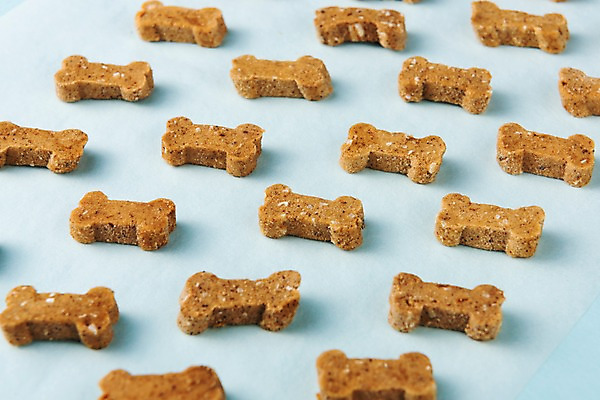 포토 JPG 스튜디오촬영 실내 근접촬영 사람없음 쿠키 여러개 배열 오브젝트 애견간식 국내포토 뷰포인트 다수 디저트 내부 파일형식