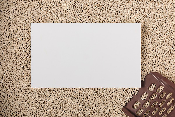 포토 JPG 스튜디오촬영 배너 모래 사각프레임 광고판 알림판 실내 근접촬영 사람없음 오브젝트 국내포토 반려용품 뷰포인트 프레임 내부 사각형 판 파일형식