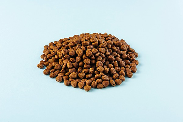 포토 JPG 스튜디오촬영 실내 근접촬영 사람없음 먹이 오브젝트 개사료 국내포토 뷰포인트 내부 파일형식