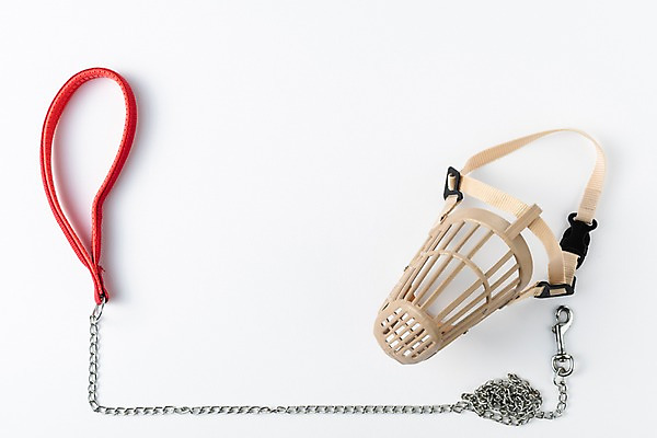 포토 JPG 스튜디오촬영 실내 근접촬영 사람없음 오브젝트 애견용품 목줄 입마개 국내포토 뷰포인트 내부 파일형식 반려용품