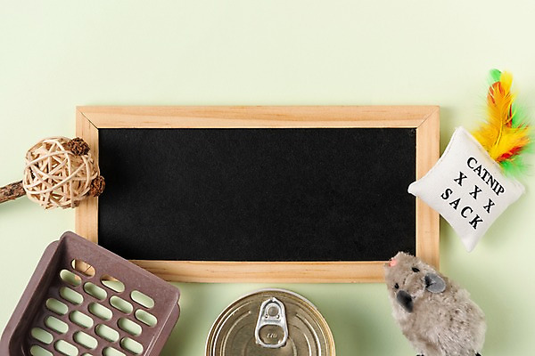 포토 JPG 스튜디오촬영 쿠션 실내 사람없음 장난감 깃털 오브젝트 애견용품 통조림 미니칠판 쥐모양 국내포토 반려용품 모양 내부 칠판 파일형식