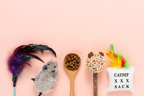 포토 JPG 스튜디오촬영 쿠션 실내 사람없음 장난감 숟가락 먹이 깃털 오브젝트 애견용품 개사료 쥐모양 국내포토 반려용품 모양 수저 내부 파일형식