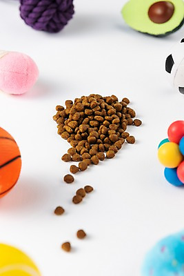 포토 JPG 스튜디오촬영 실내 근접촬영 사람없음 장난감 먹이 오브젝트 애견용품 개사료 국내포토 반려용품 뷰포인트 내부 파일형식